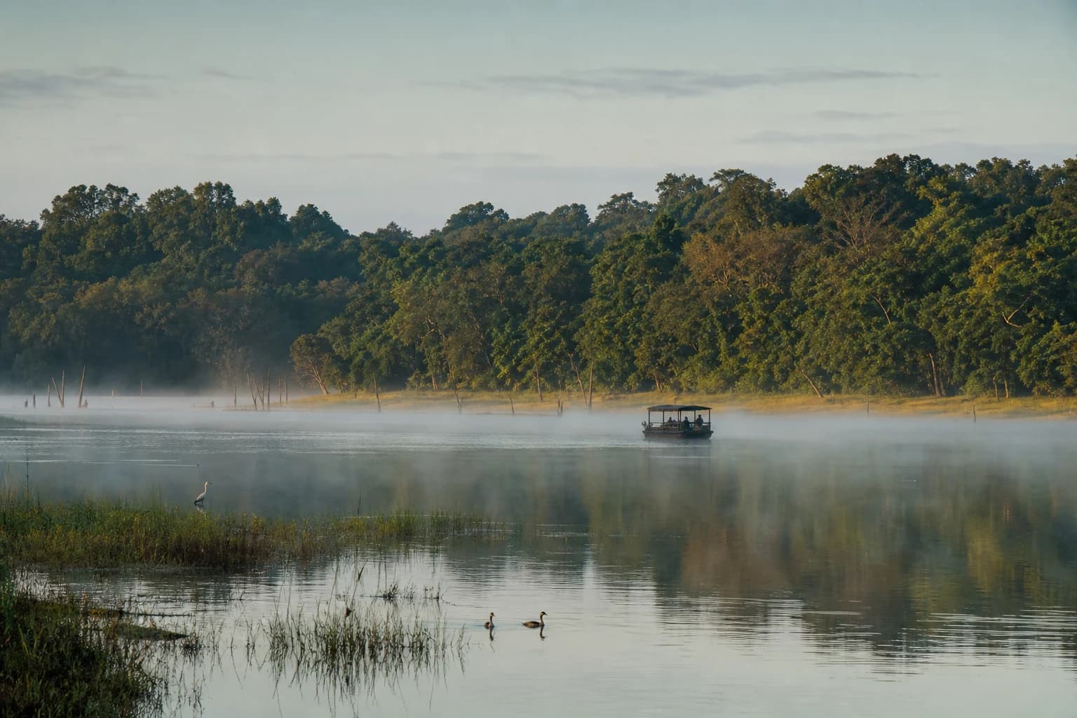 A wildlife-viewing boat crossing the misty Kabini backwaters beside the forest