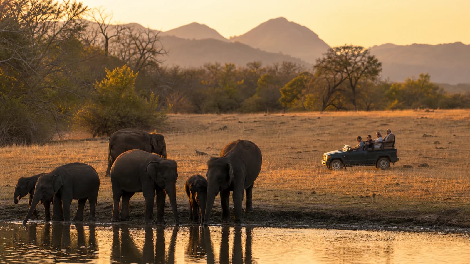 Elephants in the foothill forest landscape around Masinagudi